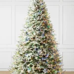 Frosted BH Balsam Fir