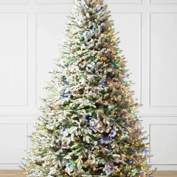 Frosted BH Balsam Fir