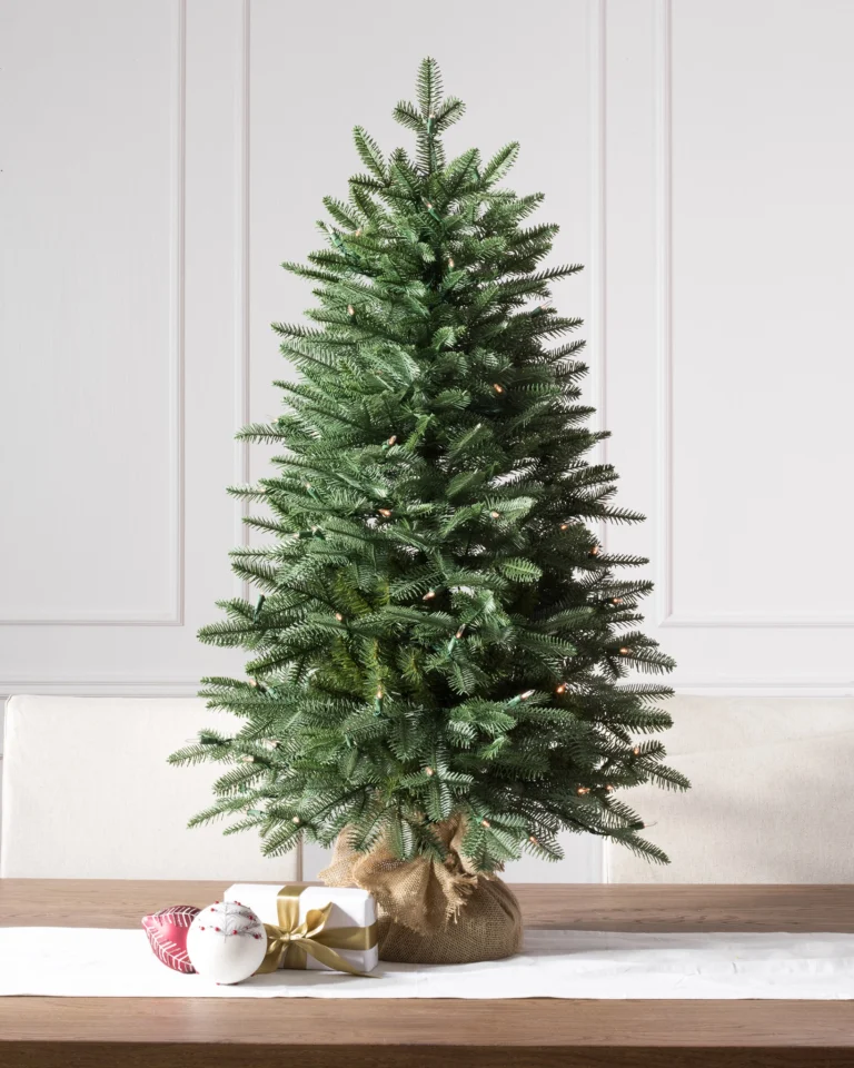 BH Balsam Fir Tabletop Tree with Burlap Base