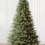 BH Balsam Fir