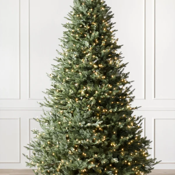 BH Balsam Fir