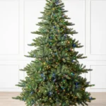 Durango Douglas Fir