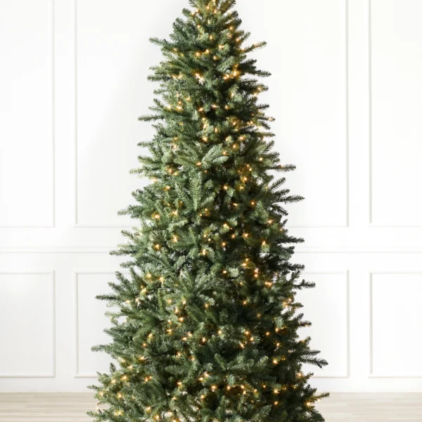 Berkshire Mountain Fir