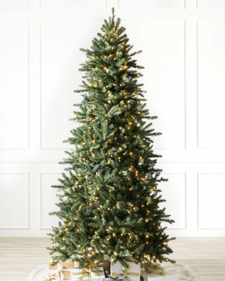 Berkshire Mountain Fir