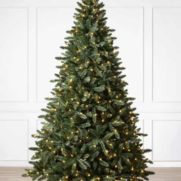 Classic Douglas Fir