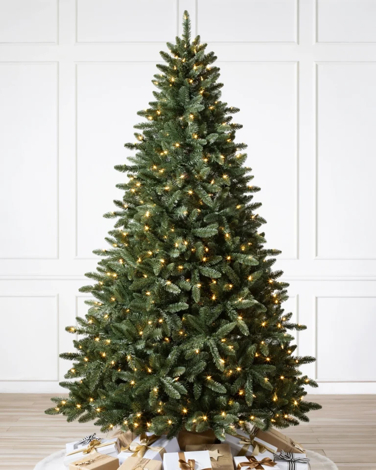 Classic Douglas Fir