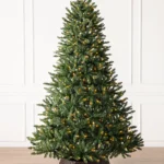 Classic Evergreen Spruce