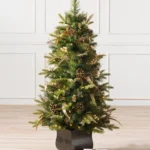 Coloma Golden Pine Potted Tree