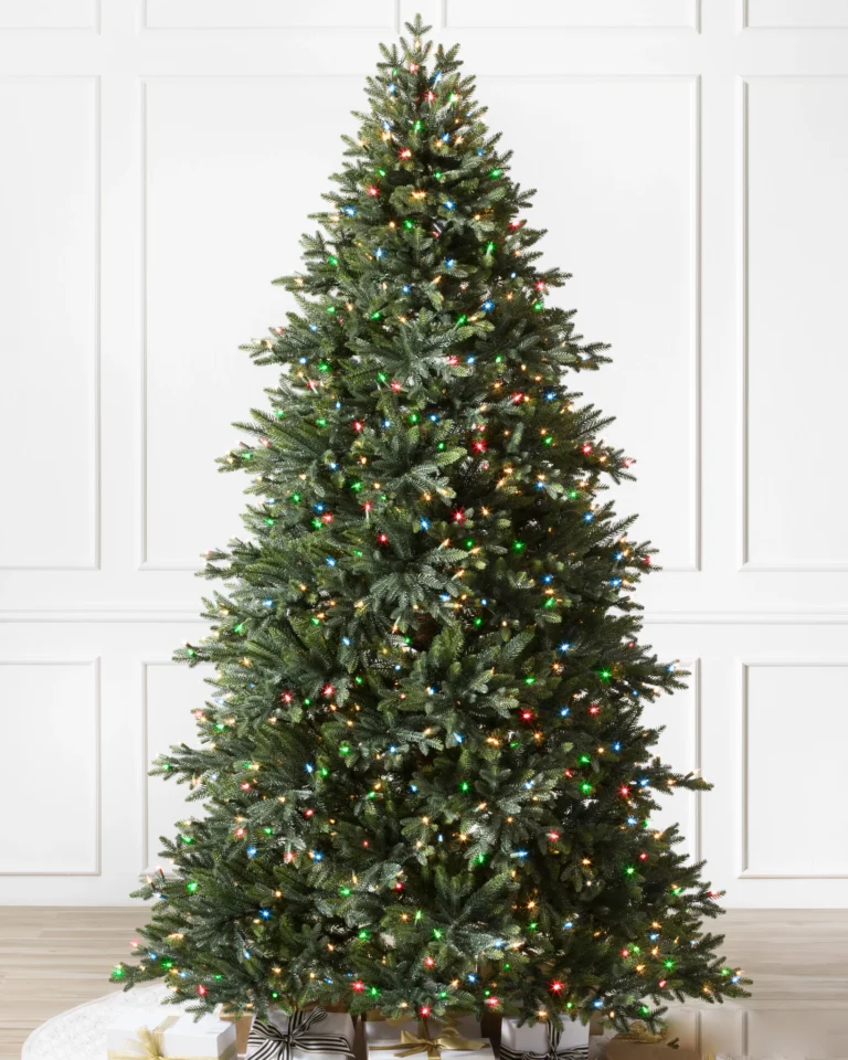 Colorado Mountain Spruce