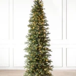 Cathedral Fir