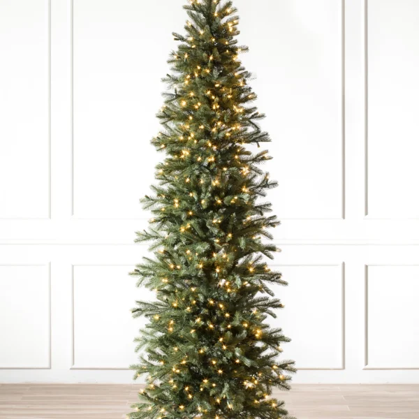 Cathedral Fir
