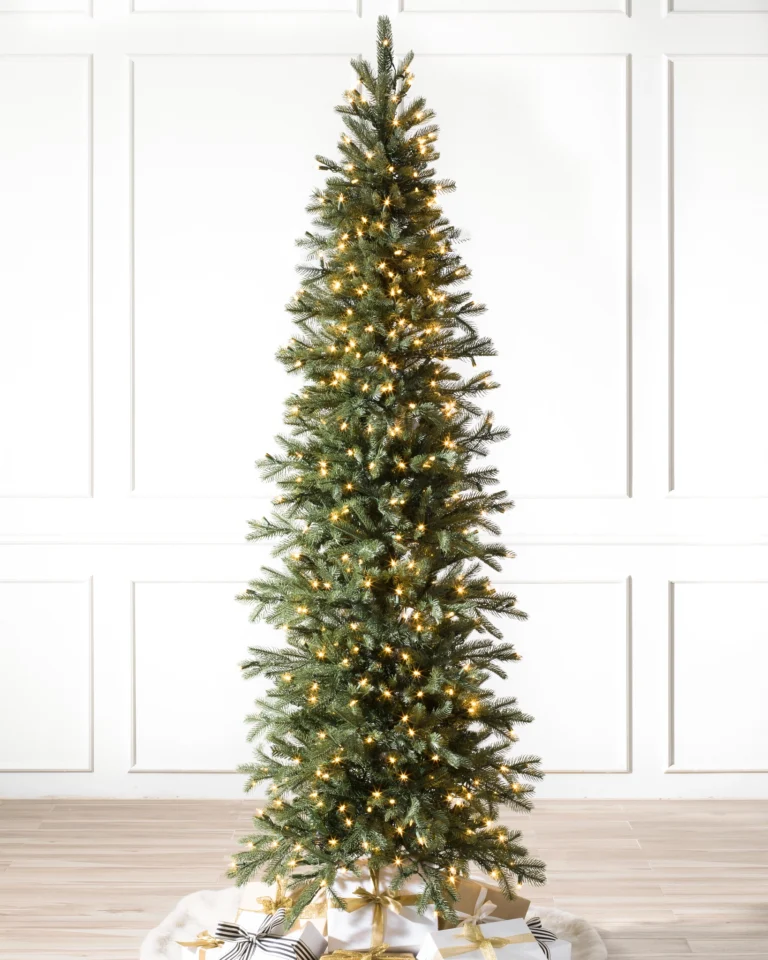 Cathedral Fir