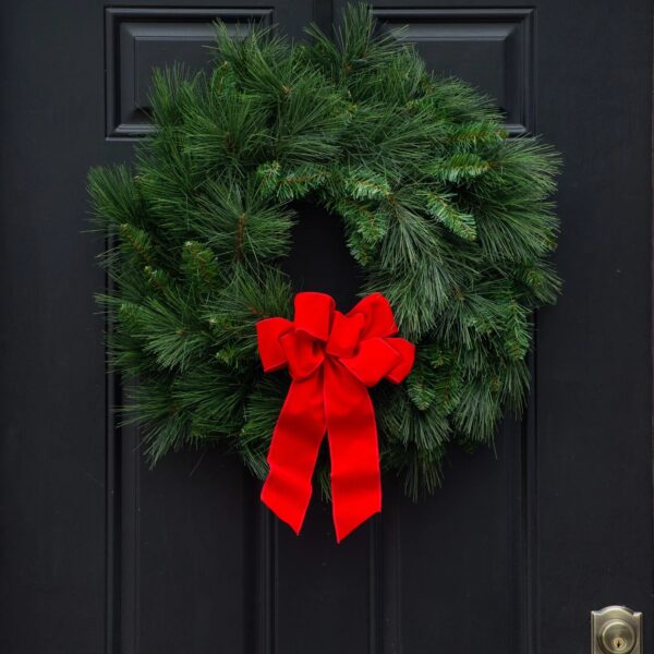Outdoor UV Protected Long Needle Pine Christmas Wreath with Red Velvet Bow - 24 inch