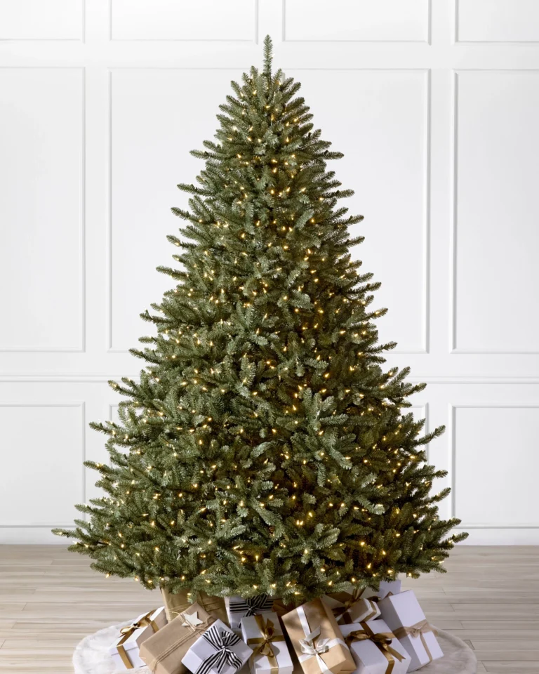 Classic Blue Spruce
