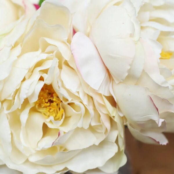 Close-up of vase silhouette detail on this Cream Real Touch Peony Floral Clear Glass Vase