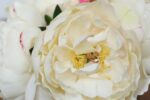 The Cream Real Touch Peony Floral Clear Glass Vase shown in full, highlighting vase silhouette