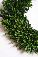 Alternate angle of the Natural Preserved Green Boxwood Wreath with Velvet Ribbon showing wreath face