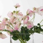 Side view of the Lifelike Sweet Pea Vines Water Glass Rectangle Vase revealing bloom arrangement