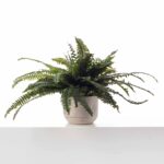 Lifelike Boston Fern In Elmwood Planter Faux Artificial Houseplant - Green