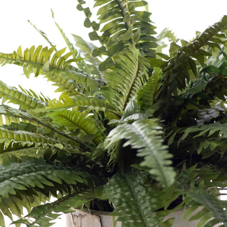 Close-up of leaf foliage texture on this Lifelike Boston Fern In Elmwood Elmwood Planter Faux