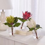 Detail view of full stem length from the Realistic Large White King Protea Water Illusion