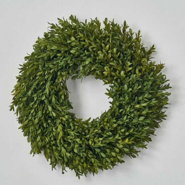 Small Realistic English Boxwood Leaf Front Door Wreath 14 inch Everyday All Season Greenery