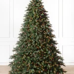 Aspen Estate Fir