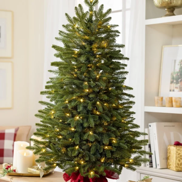 BH Fraser Fir Tabletop Tree