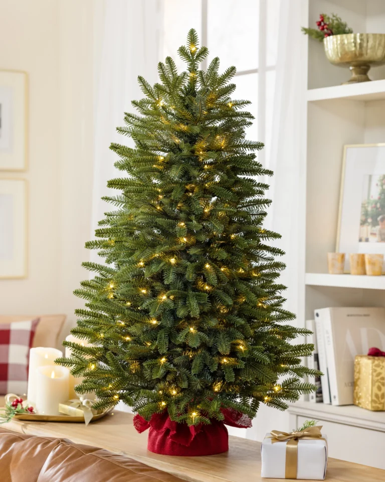 BH Fraser Fir Tabletop Tree
