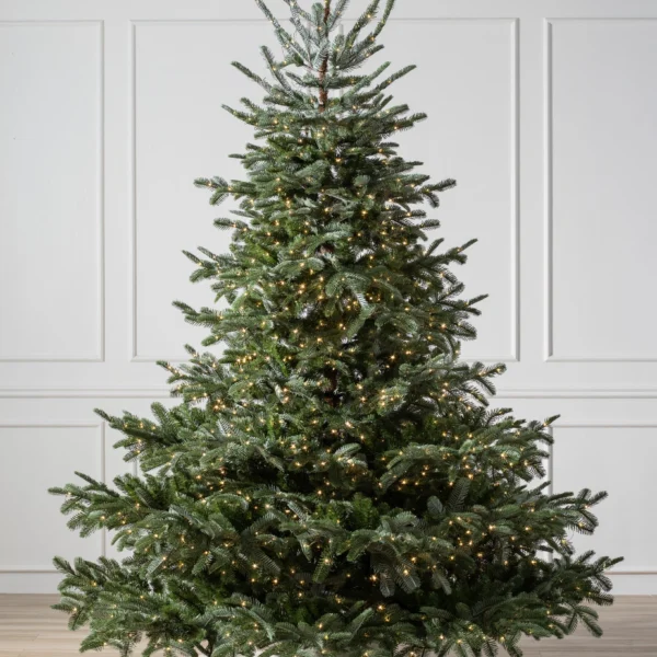 European Fir