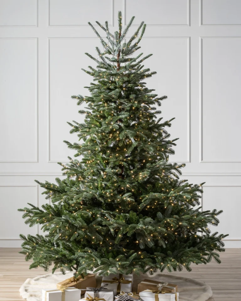 European Fir