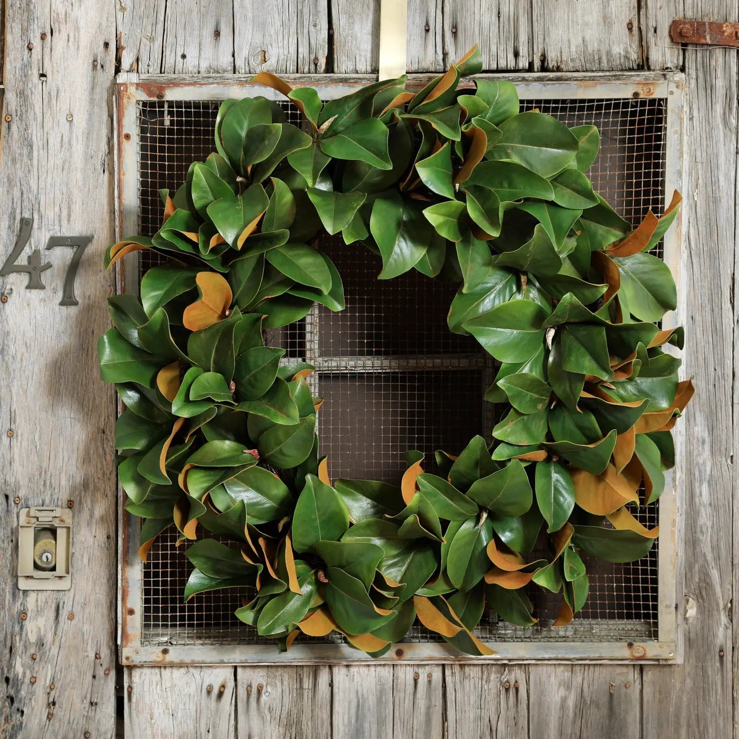 ExtraLargeClassicRealTouchMagnoliaLeafAllSeasonsFrontDoorMantleWreathEDW1069-PM36.jpg Extra Large Classic Real Touch Magnolia Leaf All Seasons Front Door Mantel Wreath