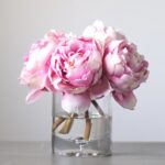 Close-up detail capturing glass texture detail of the Pink Real Touch Peony Floral Clear Glass