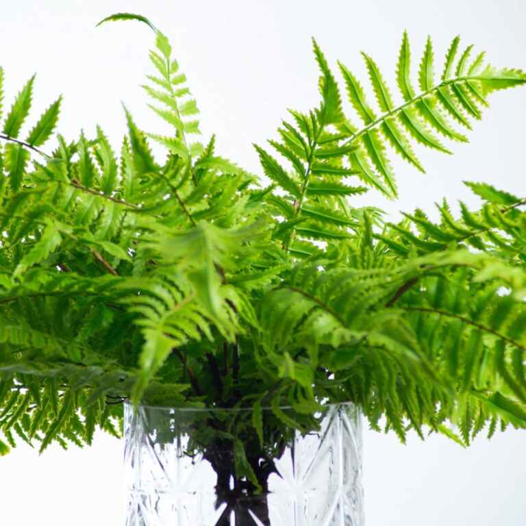 Close-up of vase silhouette detail on this Real Touch Faux Boston Fern Beveled Glass Vase