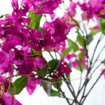 Close-up of vase silhouette detail on this Real Touch Bougainvillea Branches Spring Slim Rectangle Vase