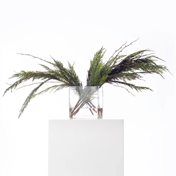 Real Touch Cedar and Branches Christmas Winter Holiday Water Glass Rectangle Vase