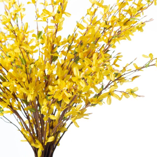 Close-up of vase silhouette detail on this Yellow Forsythia Branches in Smoke Water Illusion Arrangement
