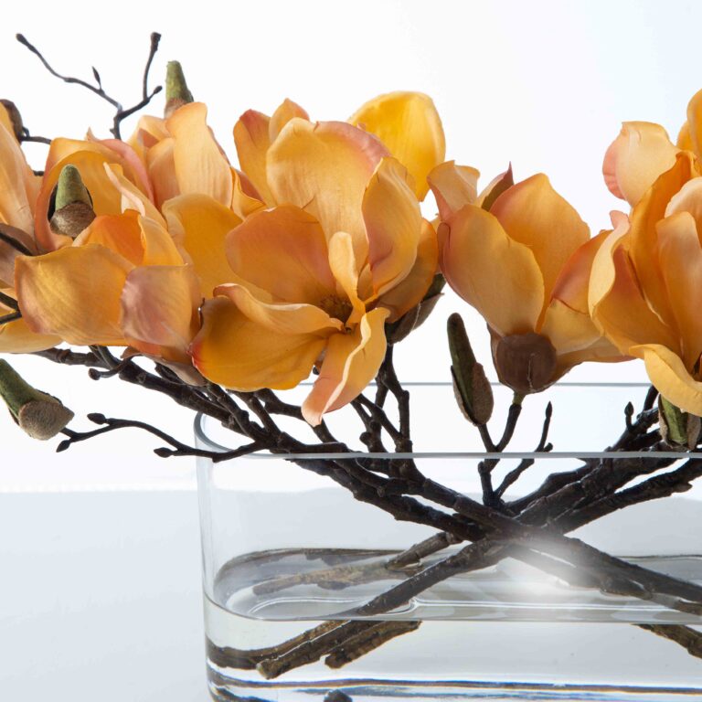 Close-up of vase silhouette detail on this Golden Hour Magnolia Branch Blooms Water Illusion Arrangement