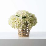Cream and Green Hydrangea Blooms in Rattan Wrapped Vase Water Illusion Arrangement - Cream and