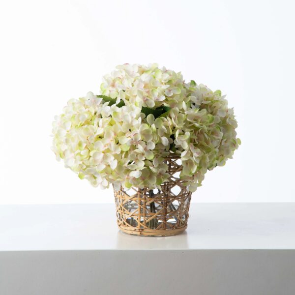 Cream and Green Hydrangea Blooms in Rattan Wrapped Vase Water Illusion Arrangement - Cream and