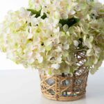 Close-up of vase silhouette detail on this Cream and Green Hydrangea Blooms Water Illusion Arrangement