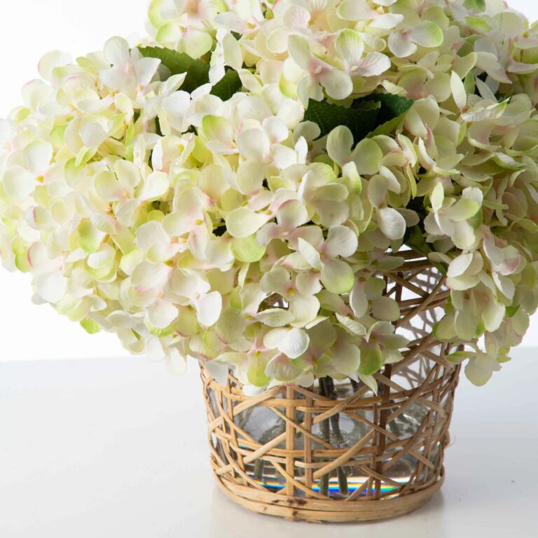 Close-up of vase silhouette detail on this Cream and Green Hydrangea Blooms Water Illusion Arrangement