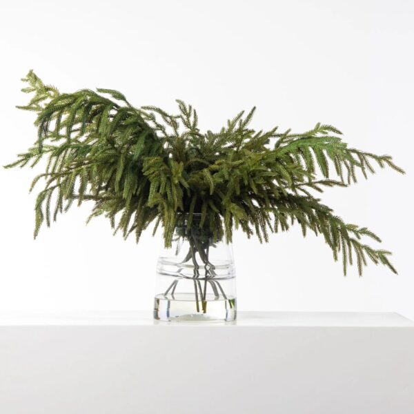 Real Touch Norfolk Pine Branches in Glass Jug Vase Large Centerpiece Christmas Water Illusion Arrangement