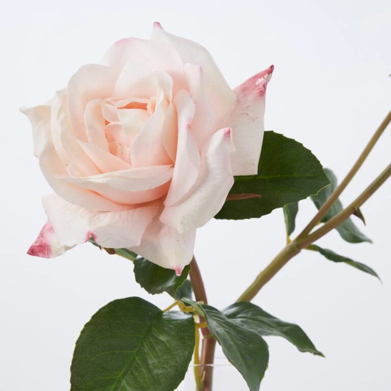 Close-up of bloom tips on this Blush Pink Real Touch Juliette Fluted Glass Vase