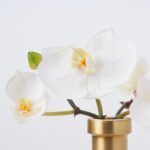 Close-up of vase silhouette detail on this White Orchid Blooms in Rimmed Water Illusion Arrangement