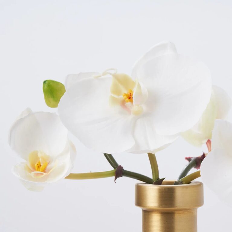 Close-up of vase silhouette detail on this White Orchid Blooms in Rimmed Water Illusion Arrangement