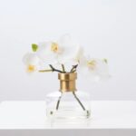 White Orchid Blooms in Rimmed Bottle Vase Water Illusion Arrangement