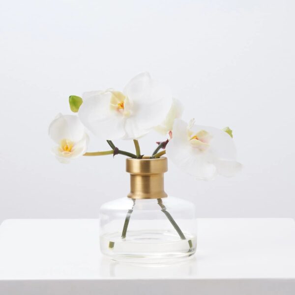 White Orchid Blooms in Rimmed Bottle Vase Water Illusion Arrangement