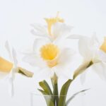 Close-up of vase silhouette detail on this Lifelike White Daffodils Spring Water Footed Urn