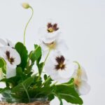 Detail view of planter detail from the Lifelike Pansy Plant In Rattan Rattan Wrapped Vase